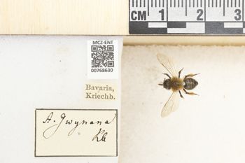 Media type: image;   Entomology 768630 Aspect: Labels